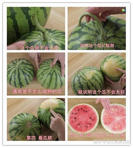 美丽吃瓜好看吗知乎免费阅读,知乎热门话题免费阅读指南  第2张